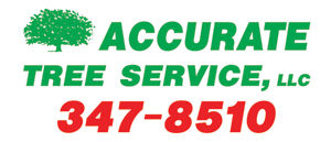 Accurate Tree Service